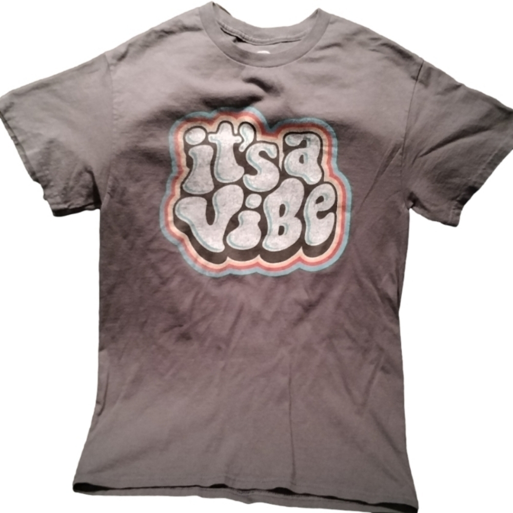 Grey short sleeve crew neck t-shirt vintage look graphic it's a vibe size small